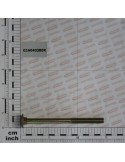 SHORT PLANT.SHOE TUBE BOLT ZN