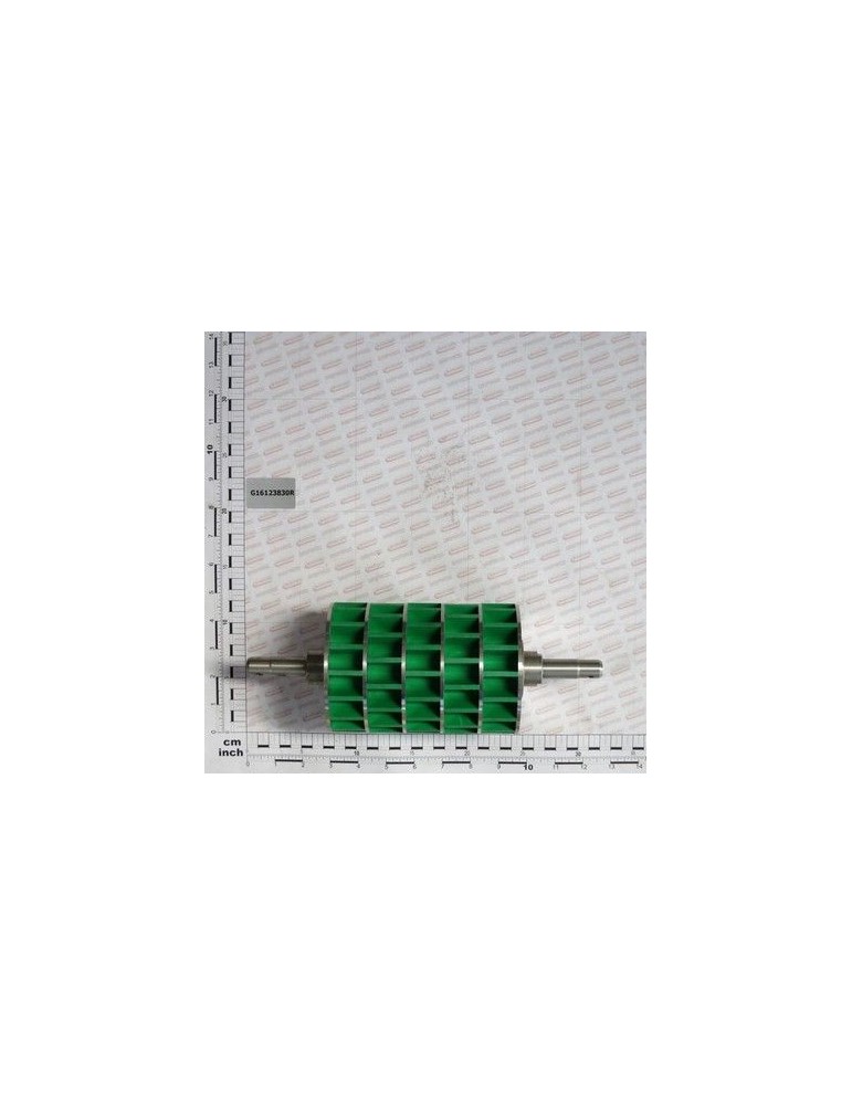 Maschio Gaspardo MONT. RULOU N500 STAGNO G16123830R