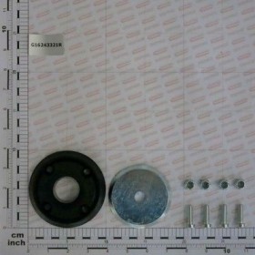 Maschio Gaspardo SET FLANSA ANTIPRAF G16243321R