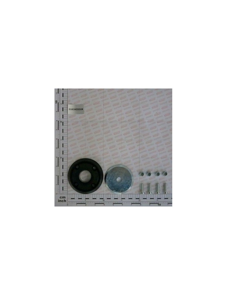 Maschio Gaspardo SET FLANSA ANTIPRAF G16243321R