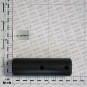 BOLT D.50X160