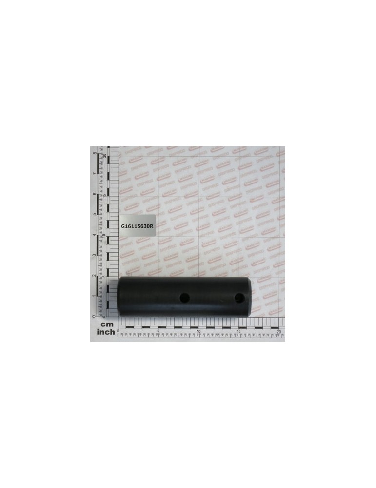BOLT D.50X160