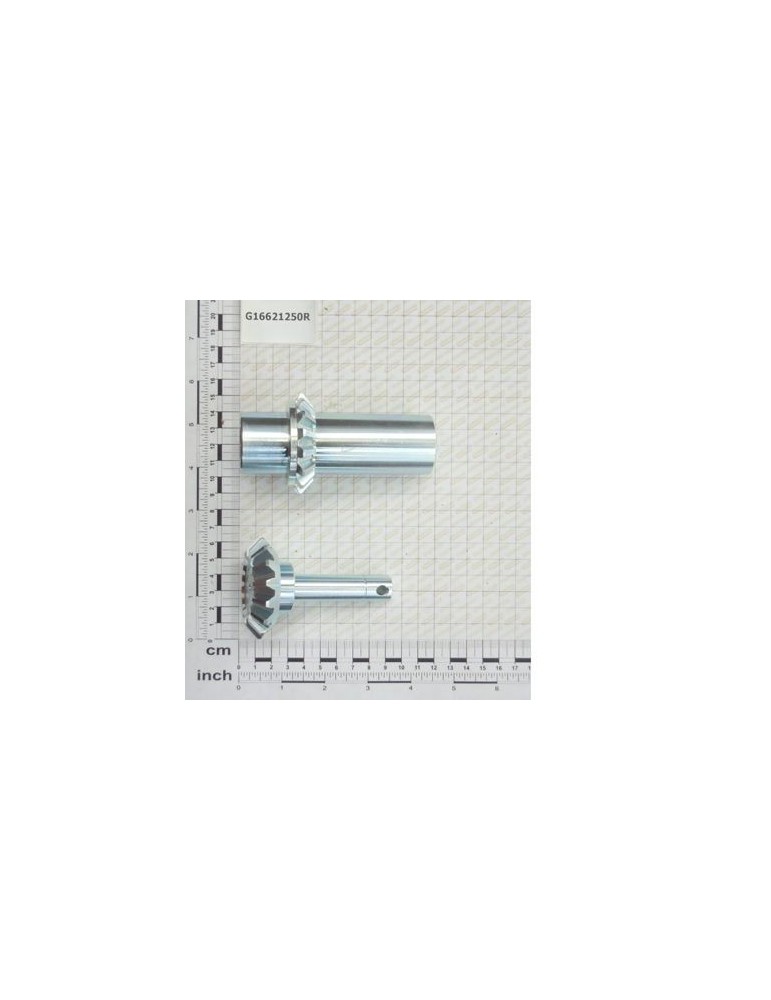 Maschio Gaspardo KIT PINION CUTIE VITEZE Q.20 G16621250R
