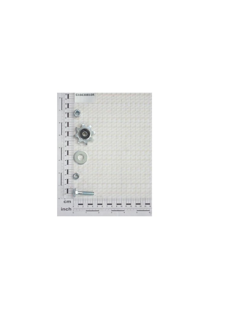 Maschio Gaspardo Kit Pinion G16630810R
