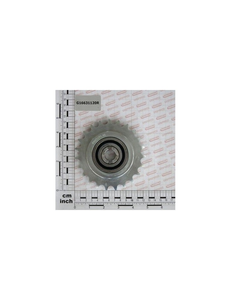 Maschio Gaspardo Angrenaj Pinion Z-23 G16631120R