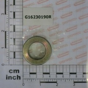 GALVANIS. GEAR ROLLER BEARING