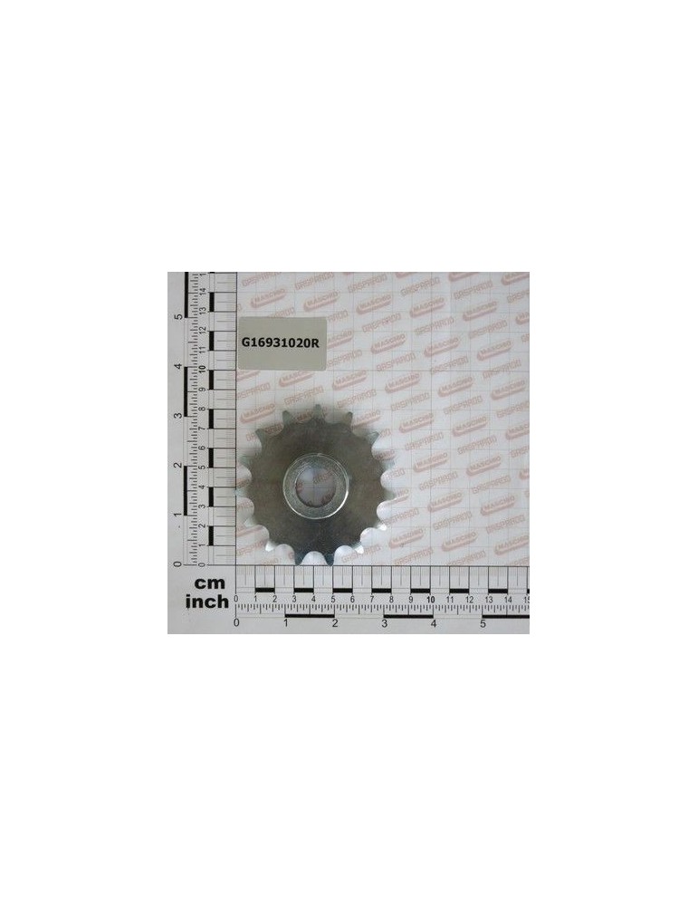 Maschio Gaspardo PINION Z15 ZN G16931020R