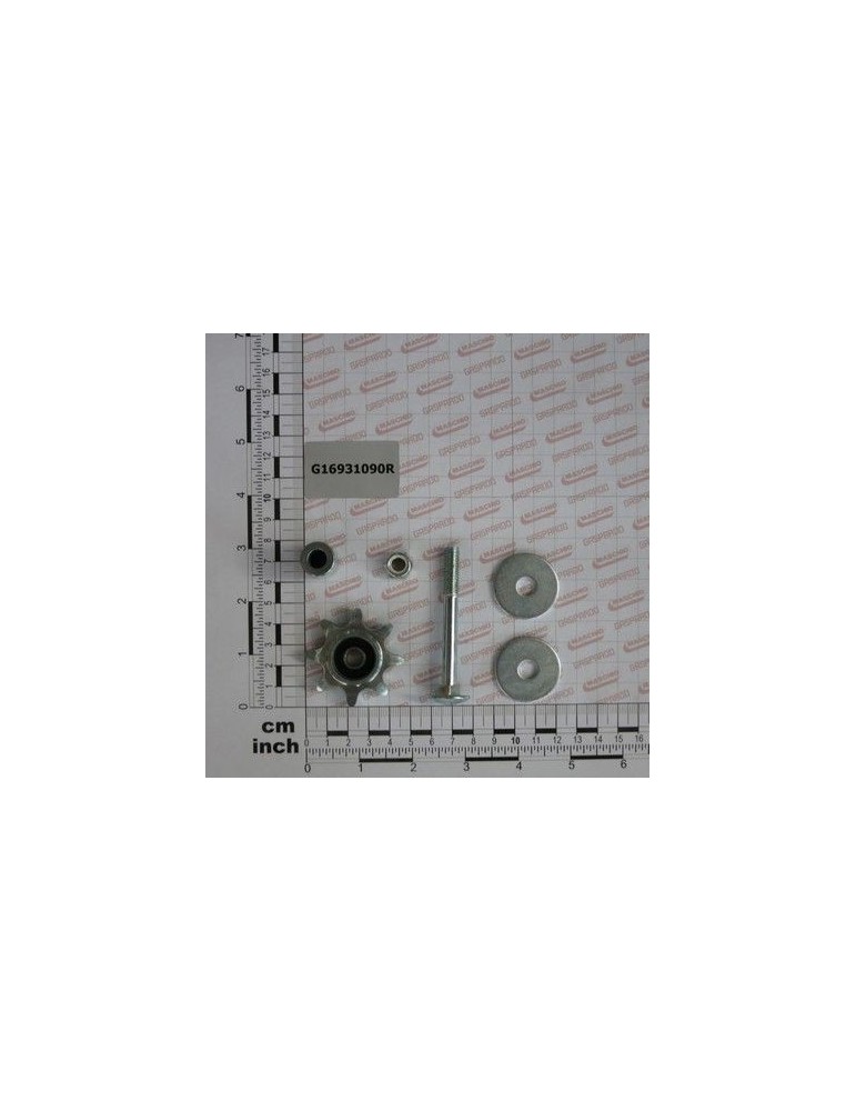 Maschio Gaspardo TENDICATENA COMPL G16931090R