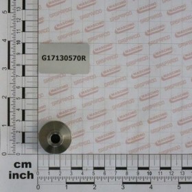 Maschio Gaspardo BOLT PINION INTINZATOR LANT G17130570R