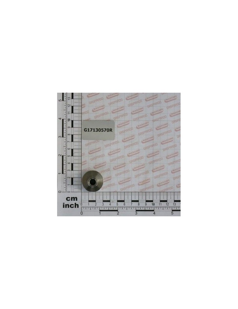 Maschio Gaspardo BOLT PINION INTINZATOR LANT G17130570R