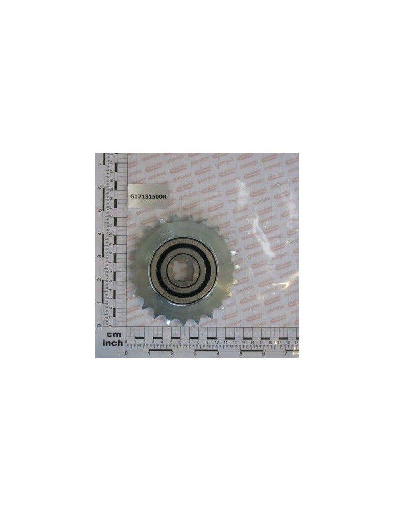 Maschio Gaspardo PIGNONE Z23 5/8-3/8 Q.20 RL ZN G17131500R