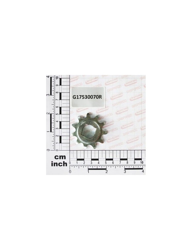 Maschio Gaspardo PINION Z11 GAURA PATRATA G17530070R