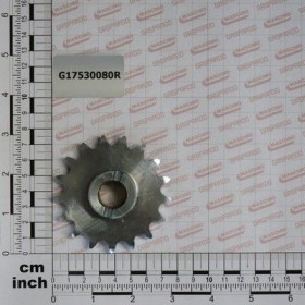 Maschio Gaspardo INGRANAGGIO Z17 CON FORO G17530080R