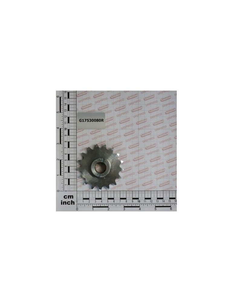 Maschio Gaspardo INGRANAGGIO Z17 CON FORO G17530080R