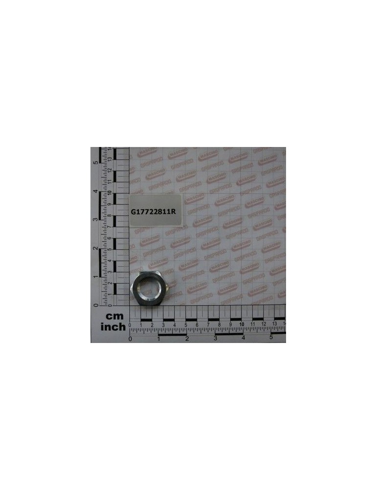 Maschio Gaspardo DADO M20X 2,5 SINISTRO ZN. G17722811R
