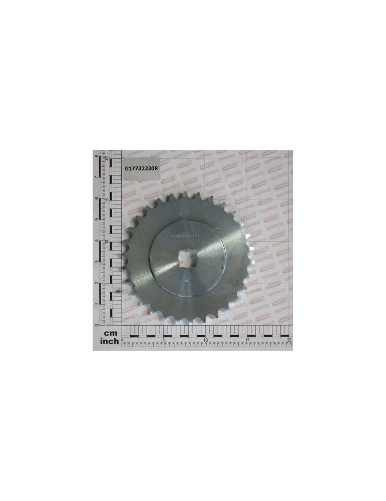 Maschio Gaspardo PIGNONE Z30 5/8-3/8 ZN G17732230R