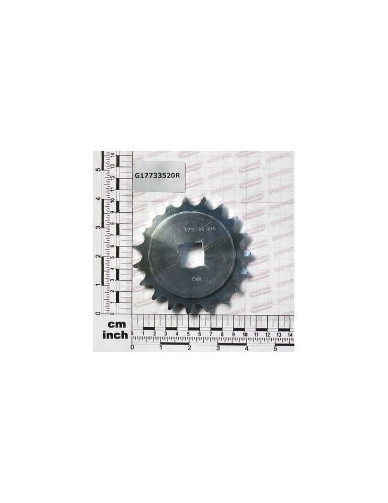 Maschio Gaspardo PINION Z19 5/8-3/8 Q.20,4 ZN G17733520R