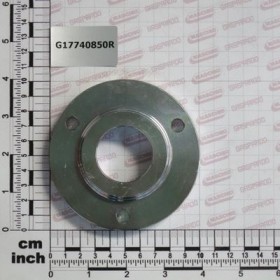 Maschio Gaspardo FLANGIA CUSC.RUOTA GHISA MBF G17740850R