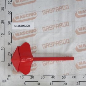 RIDGER ECON. COMPLETE