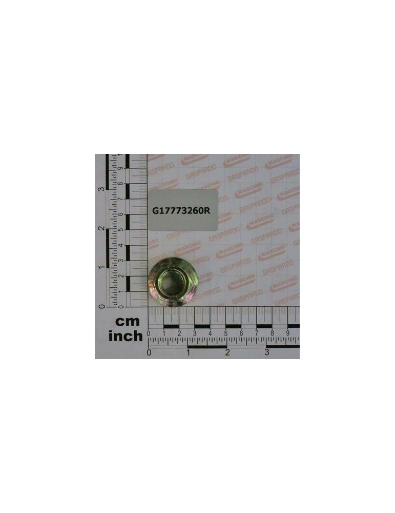 Maschio Gaspardo DADO FLANG.DENTELL.5/8-11 G17773260R