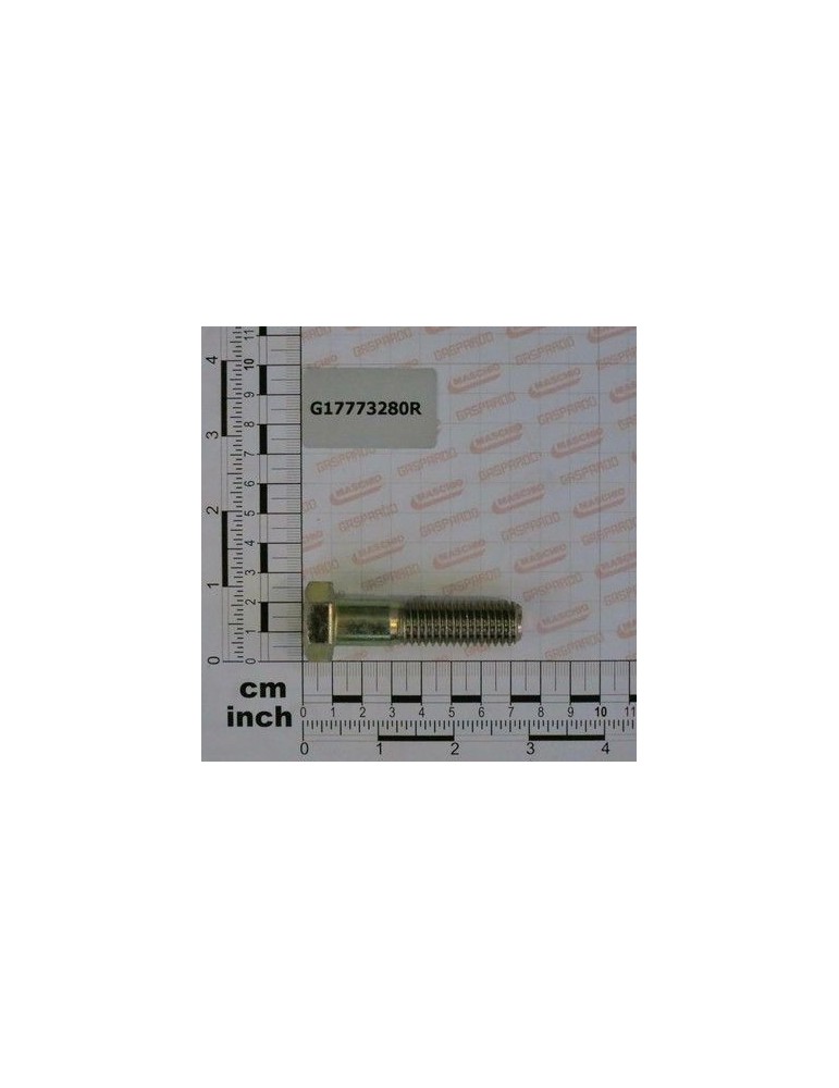 Maschio Gaspardo SURUB TE 5/8-11X2-1/2 ZN G17773280R