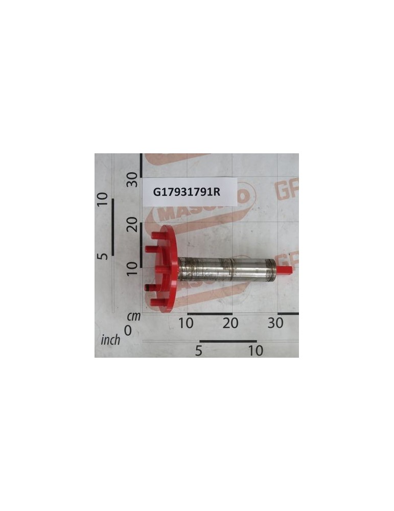 Maschio Gaspardo MONT.ASSE RUOTA G17931791R