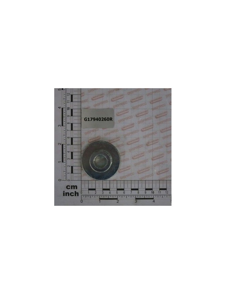 Maschio Gaspardo SUPORT ARC G17940260R