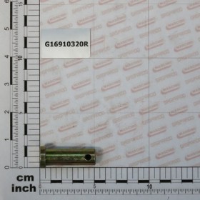 GALVANIZED PIN 15,00X38