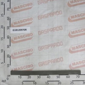 Maschio Gaspardo GUARNIZIONE COPER.TRAM.BALENA G18120970R