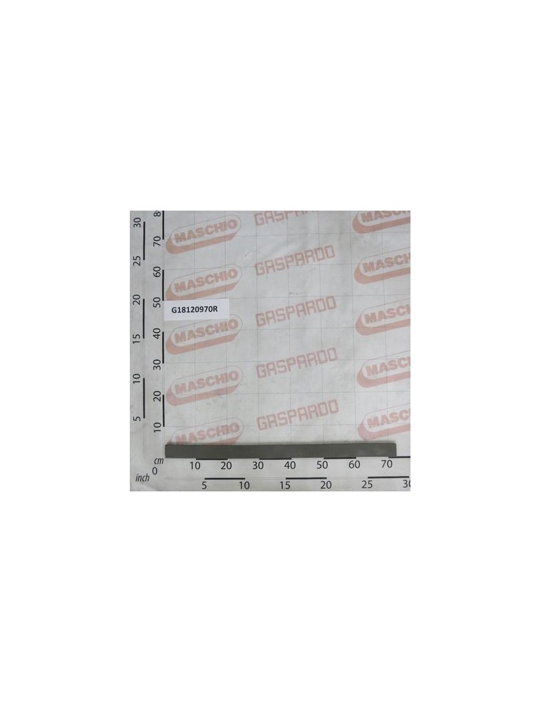 Maschio Gaspardo GUARNIZIONE COPER.TRAM.BALENA G18120970R