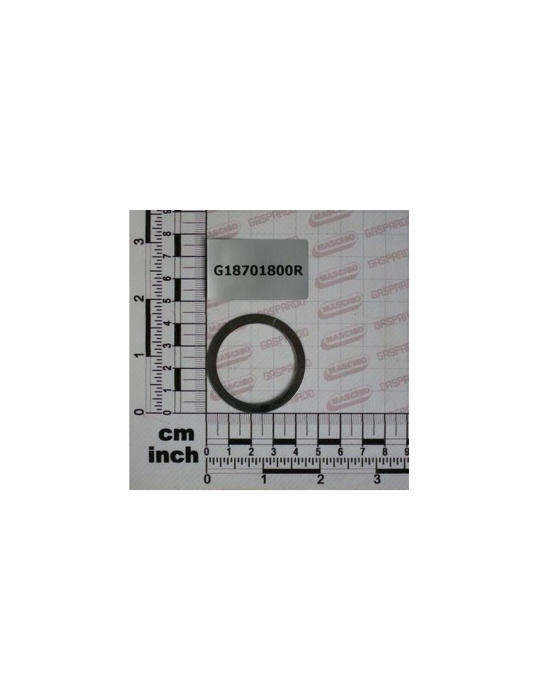 Maschio Gaspardo SAIBA 35,5 X42 X0,5 G18701800R