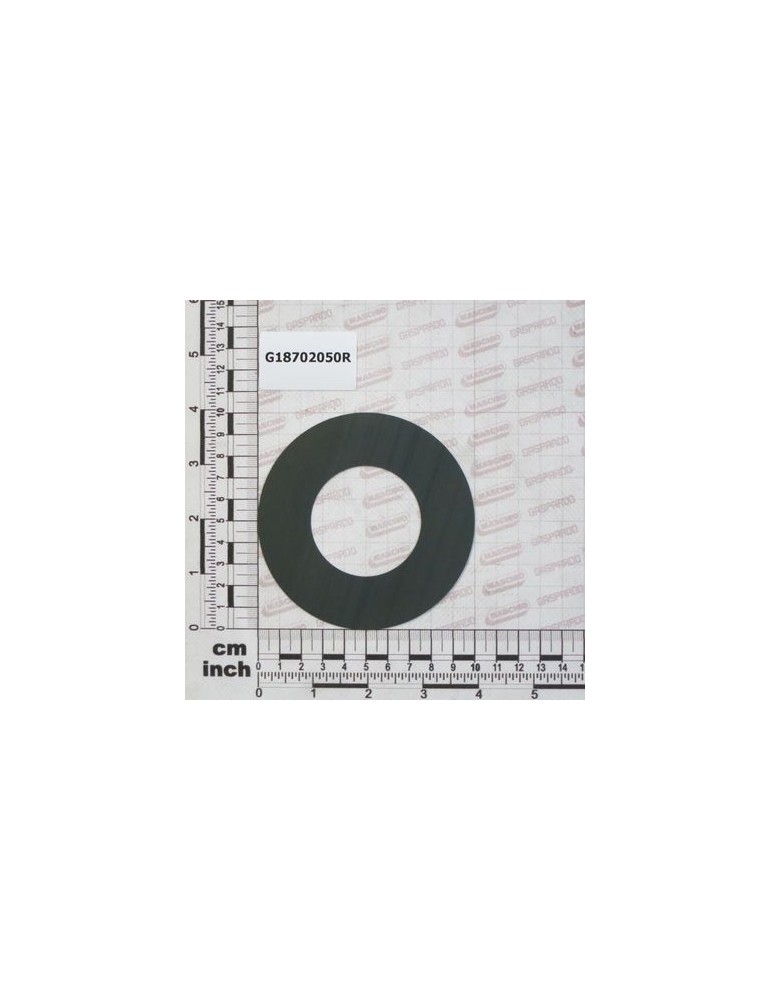 Maschio Gaspardo RONDELLA 50,5 X100 X0,5 G18702050R