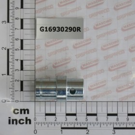 GALVANIS. SEED TRANSMISS. INTE