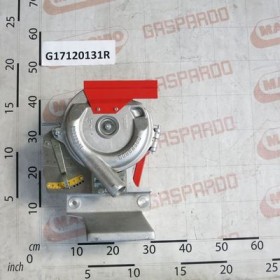 DISTRIB.BODY MAGICA COMPL.