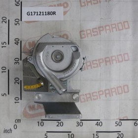 DISTRIBUTOR MAGICA ASS.