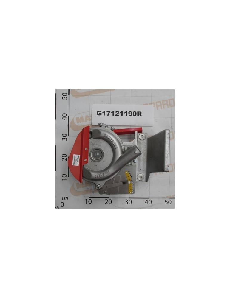 BODY DISTRIBUT.MAGICA-MONICA-R