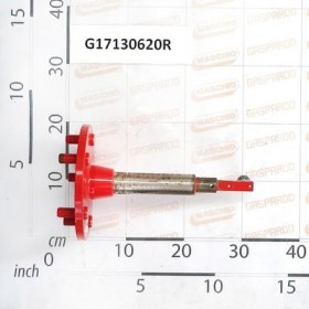 WHEEL AXLE 20X8,00-10 COLONET.