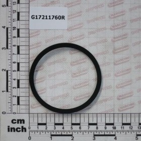 DISTRIBUTOR GASKET