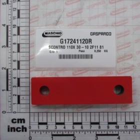 PLATE110X30-10 2HOLES 11 81