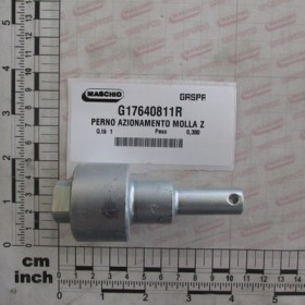 SPRING PIVOT GALVANIZED