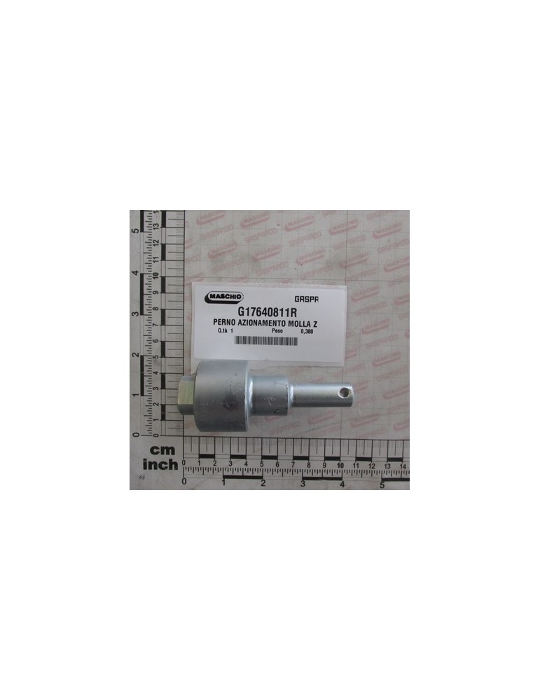 SPRING PIVOT GALVANIZED