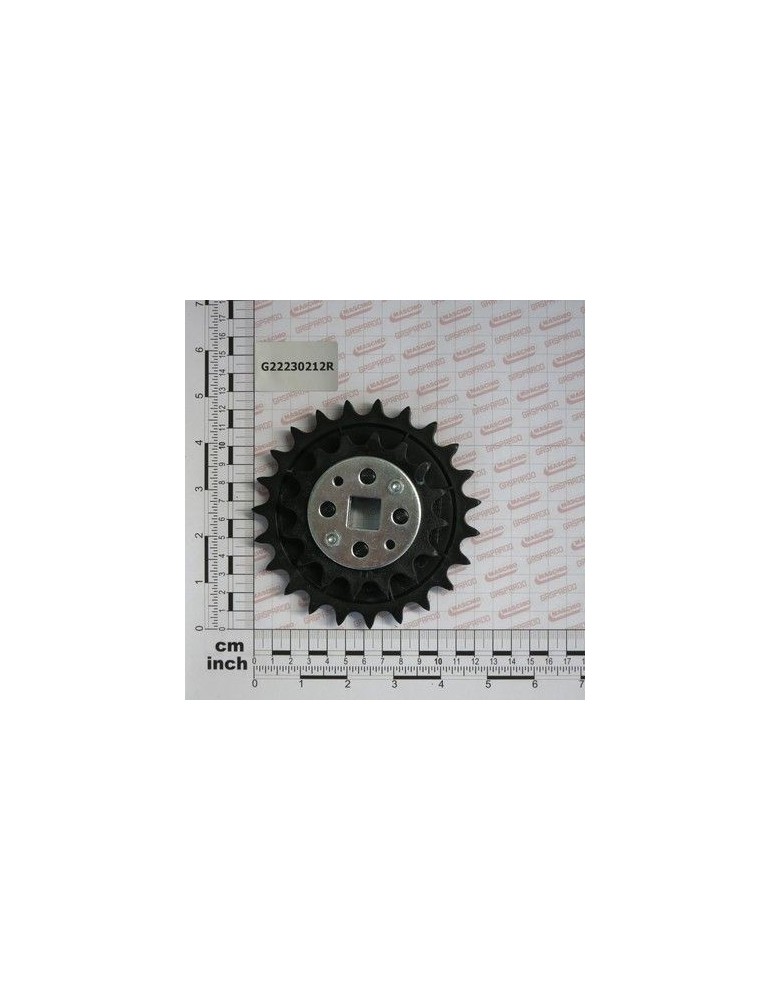 Maschio Gaspardo PINION 16-23 NYLON G22230212R