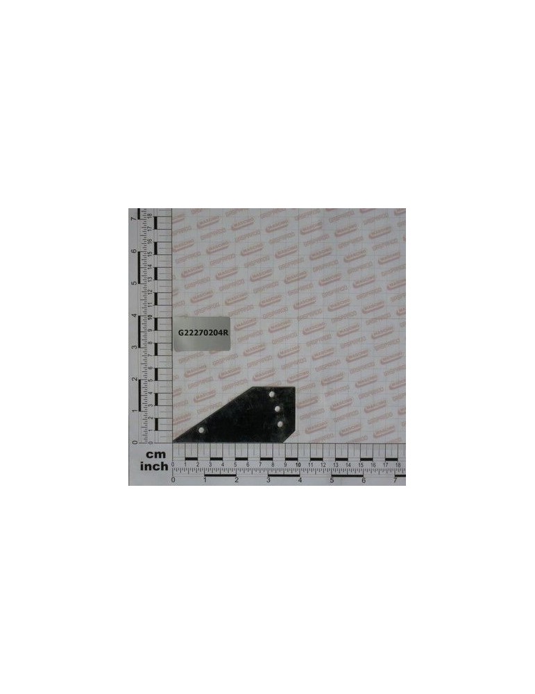 Maschio Gaspardo PLACA ANTI REVARSARE SEMINTE G22270204R