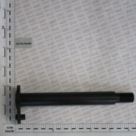 PIN FOR LATERAL WING