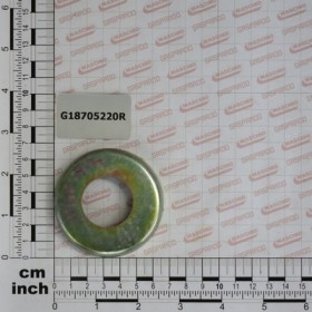 BOTTOM WASHER30,5X62X1,5X11 ZN