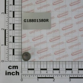 BUSH  8.5  X15   X10