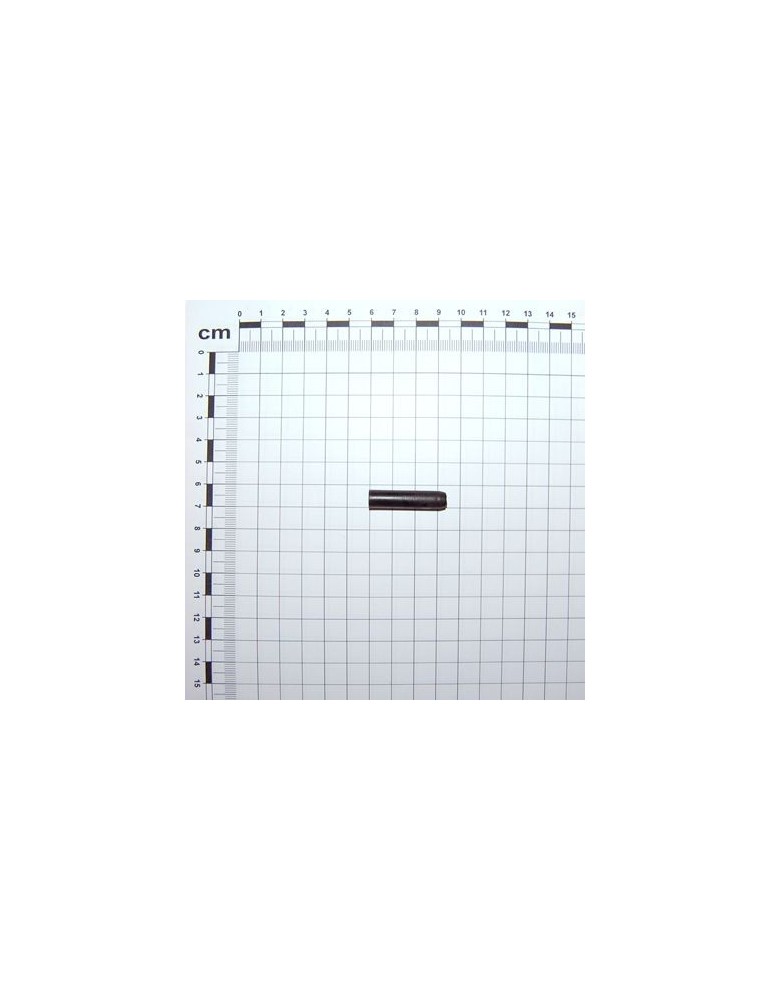 Maschio Gaspardo Stift de Siguranta G66248057R