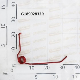LEFT TORS. SPRING DIRECTA COVE