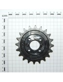 Maschio Gaspardo PINION Z-20 SP G66248165R