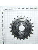 Maschio Gaspardo PINION Z-21 SP G66248166R